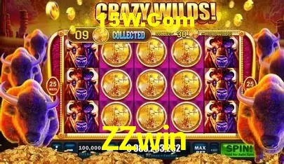 ZZwin